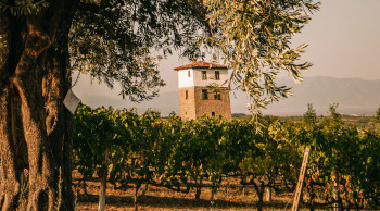 ENOABE | ΚΤΗΜΑ ΚΥΡ ΓΙΑΝΝΗ, ΝΑΟΥΣΑ