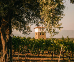 ENOABE | ΚΤΗΜΑ ΚΥΡ ΓΙΑΝΝΗ, ΝΑΟΥΣΑ