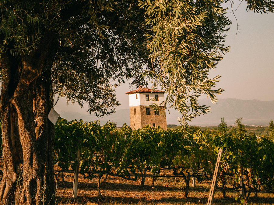 ENOABE | ΚΤΗΜΑ ΚΥΡ ΓΙΑΝΝΗ, ΝΑΟΥΣΑ