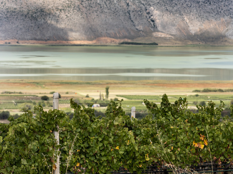ENOABE | ΚΤΗΜΑ ΚΥΡ ΓΙΑΝΝΗ, ΑΜΥΝΤΑΙΟ