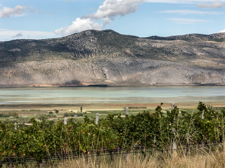 ENOABE | ΚΤΗΜΑ ΚΥΡ ΓΙΑΝΝΗ, ΑΜΥΝΤΑΙΟ