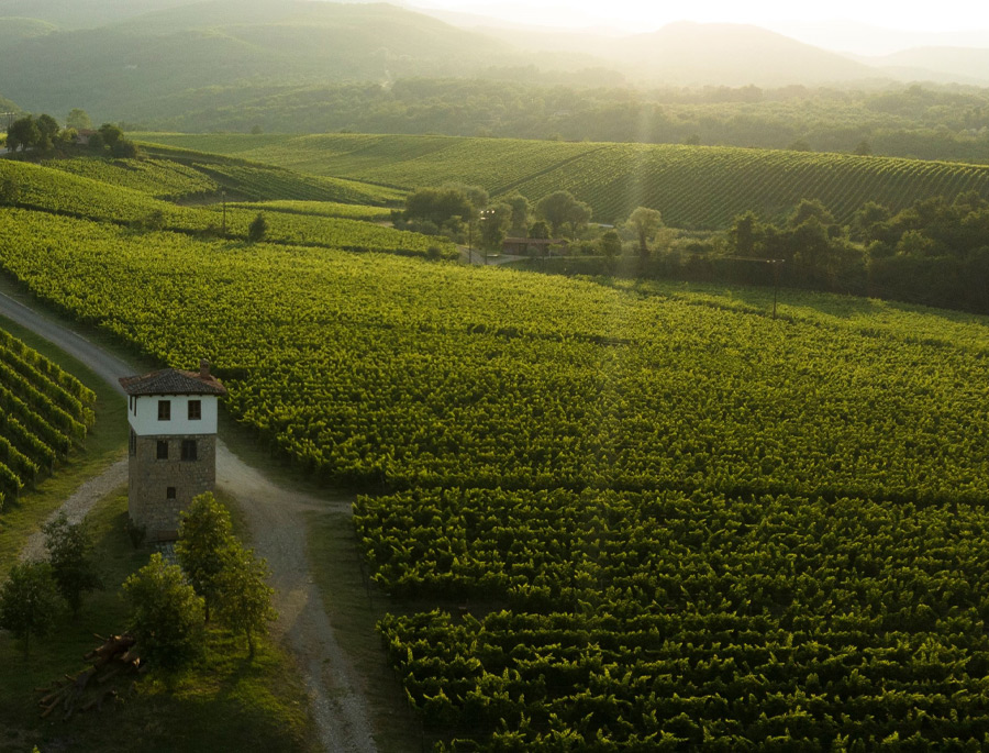 ENOABE | ΚΤΗΜΑ ΚΥΡ ΓΙΑΝΝΗ, ΝΑΟΥΣΑ