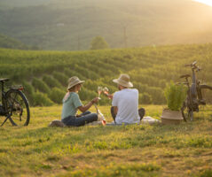 ENOABE | ΚΤΗΜΑ ΚΥΡ ΓΙΑΝΝΗ, ΝΑΟΥΣΑ