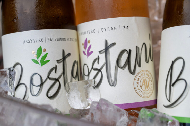 ΑΜΠΕΛΩΝΕΣ ΑΜΟIΝΟΣ