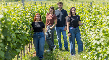 ΑΜΠΕΛΩΝΕΣ ΑΜΟIΝΟΣ