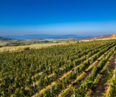 Κτήμα Βίβλια Χώρα