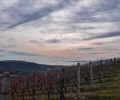 Κτήμα Βίβλια Χώρα