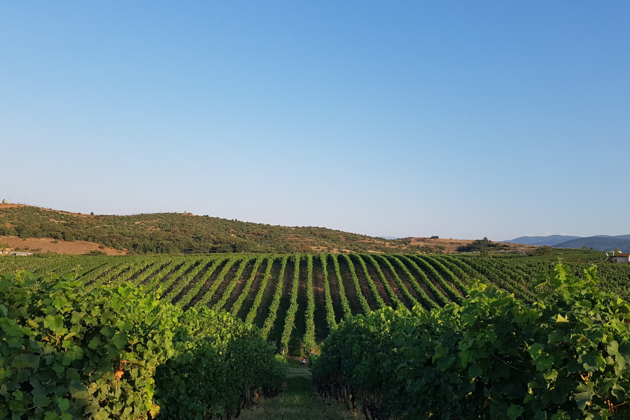 Κτήμα Χρυσοχόου