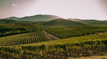 ΚΤΗΜΑ ΚΥΡ ΓΙΑΝΝΗ