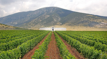 ΚΤΗΜΑ ΠΑΥΛΙΔΗ