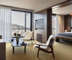 THE LYNX MOUNTAIN RESORT