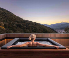 THE LYNX MOUNTAIN RESORT