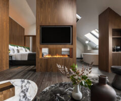THE LYNX MOUNTAIN RESORT